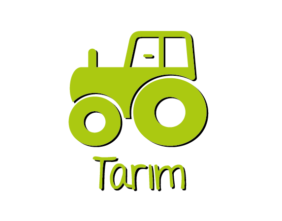 tarim2