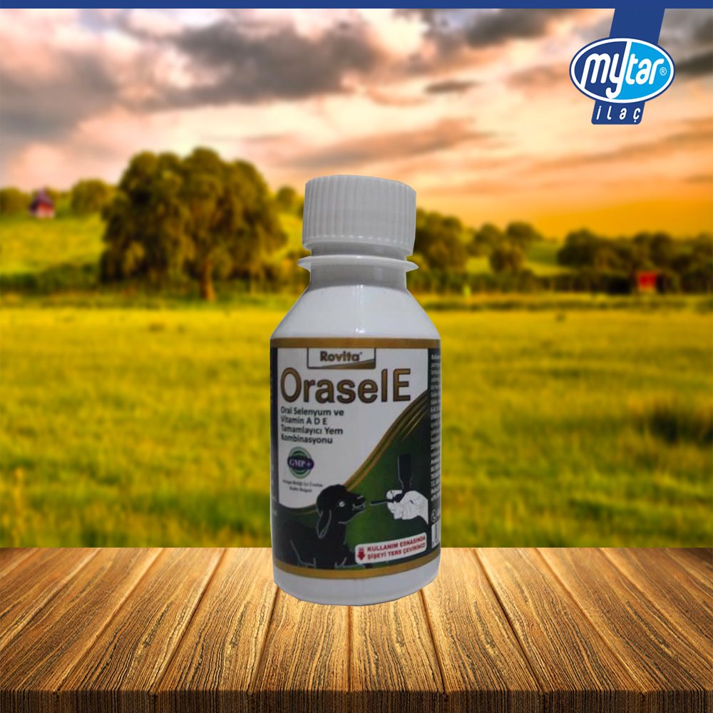 mytar-oraselE_yeni