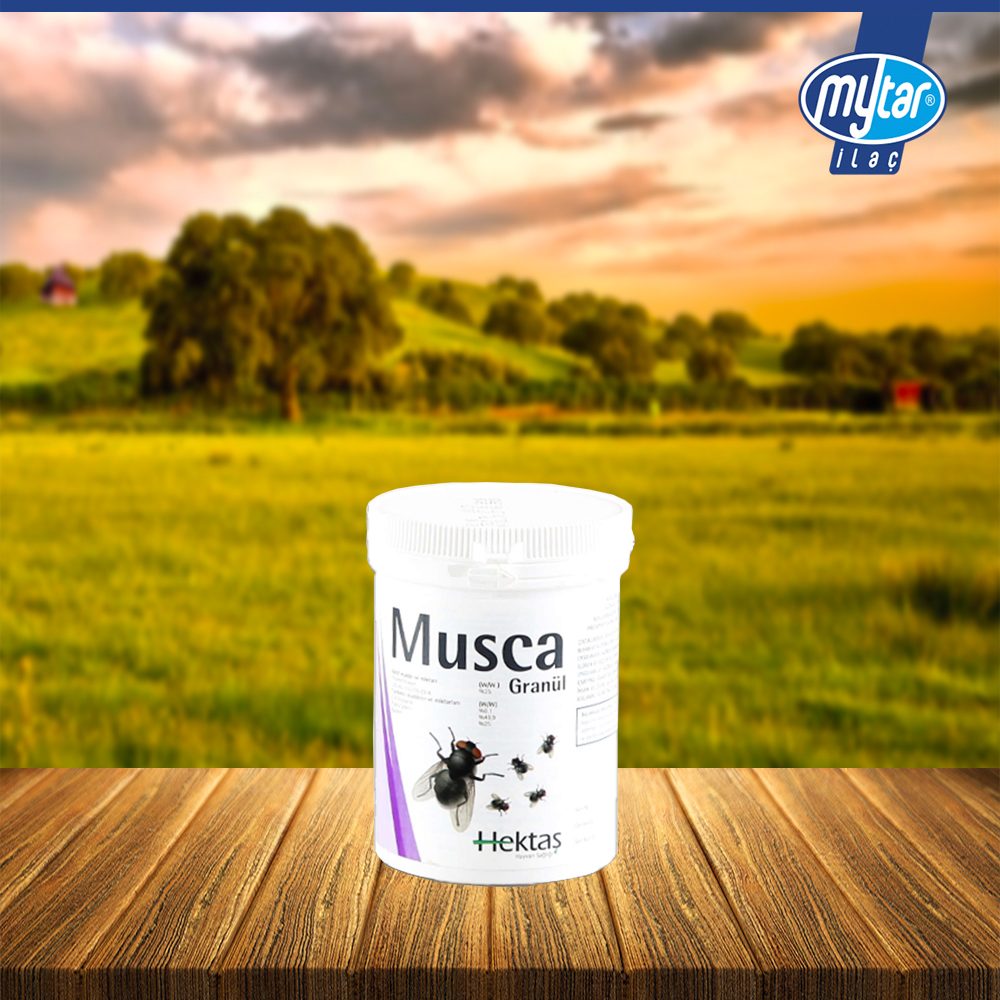 musca