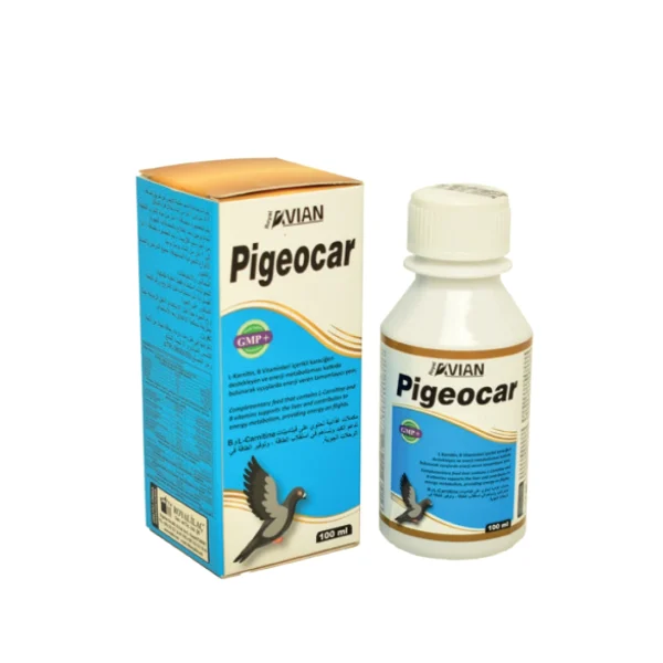 Avian Pigeocar