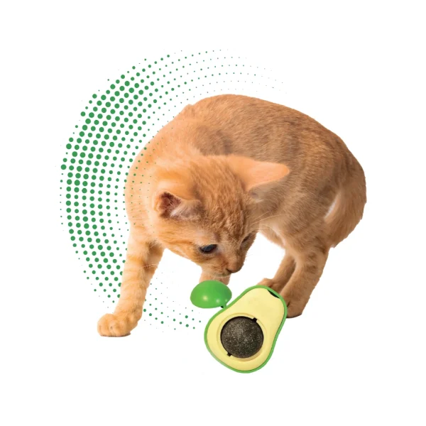 Avocado Kedi Nanesi Oyuncağı