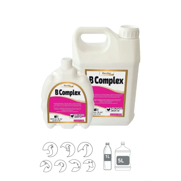 B Complex